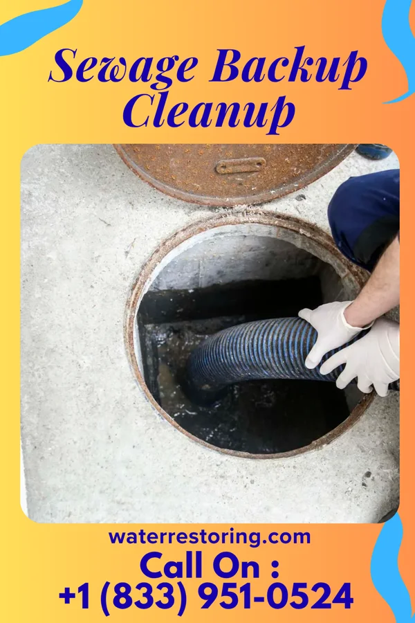 Sewage Backup Cleanup in St. David, IL