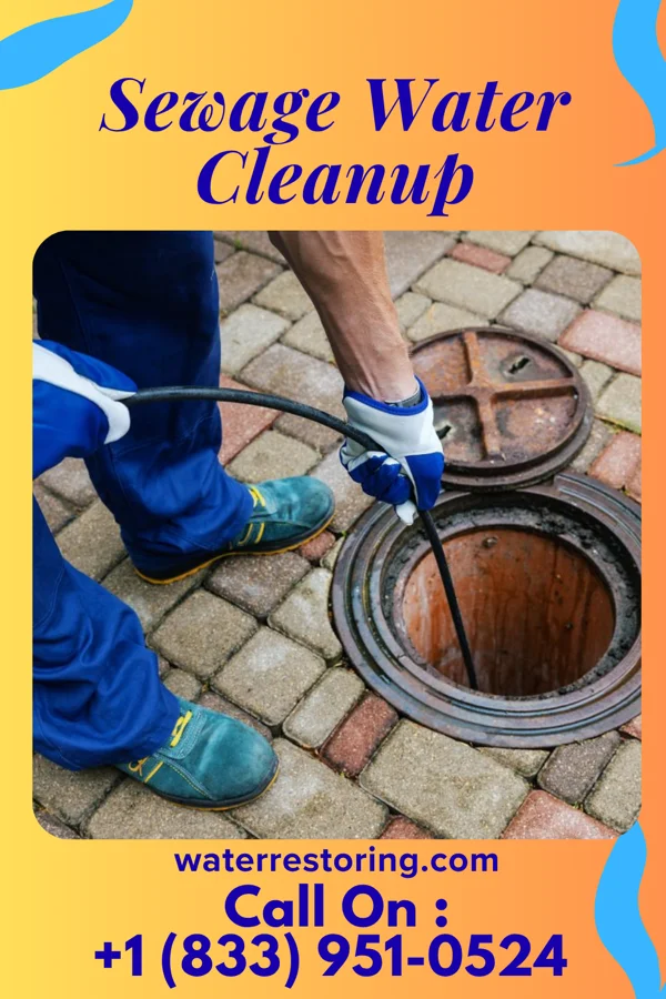 Sewage Water Cleanup in St. David, IL