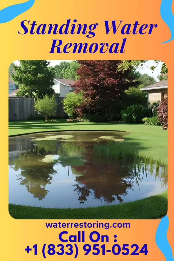 Standing Water Removal in St. David, IL